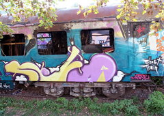 Photo #24217 by TheWallHunter