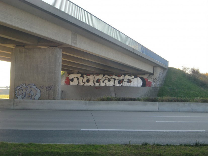 Graffiti Bombing in Gera - Photo by geracity - rapists (2012)