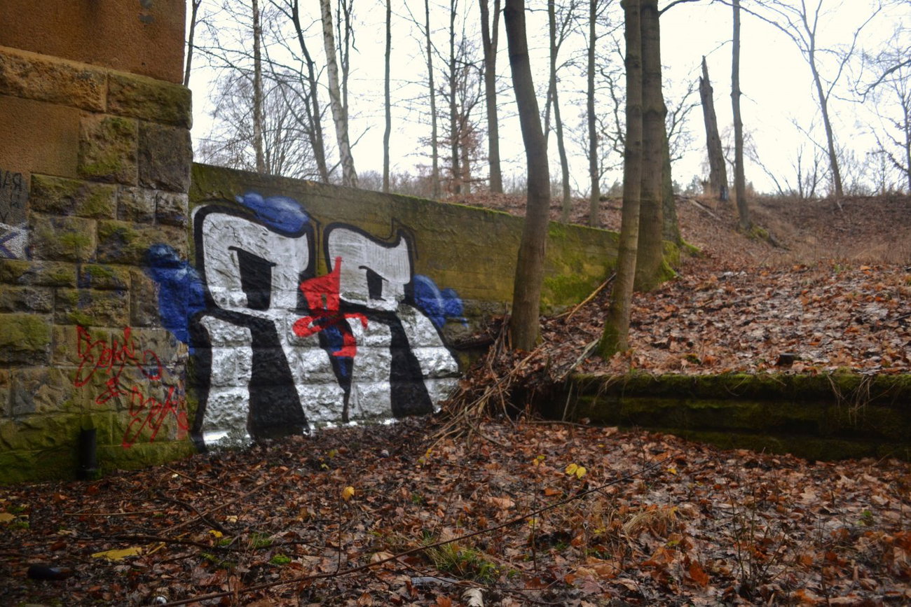 Graffiti Bombing - Photo by geracity - S&S, Sork, Ser (2013)