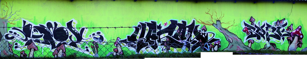 Graffiti Wall in Gera - Photo by geracity - käry, Jason, Sork (2009)