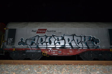 Graffiti Train - Photo by geracity - zeuSrek (2012)