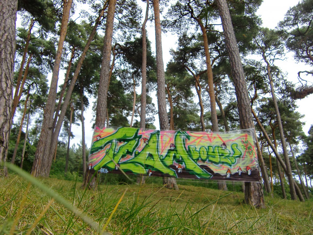 Graffiti Artwork - Photo by geracity - team (2013)