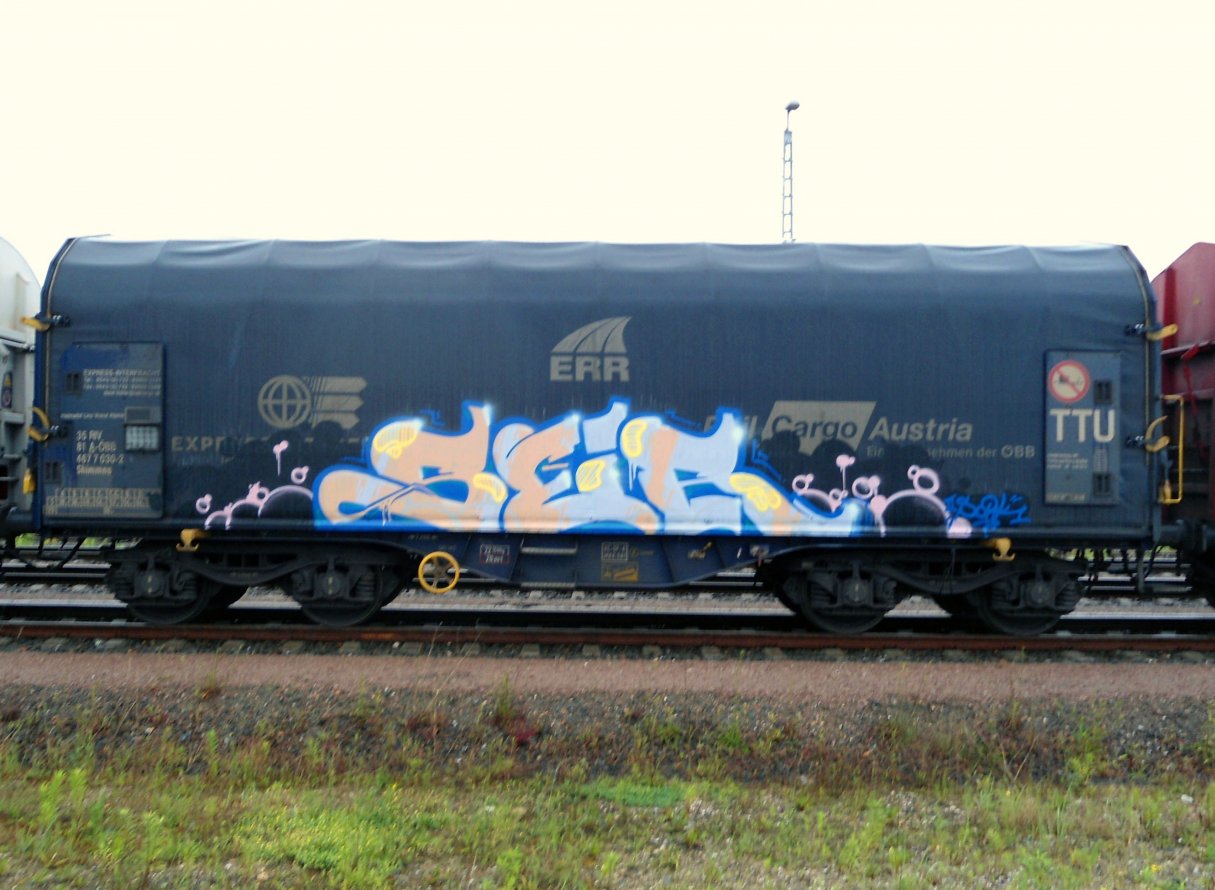 Graffiti Train in Gera - Photo by geracity - Ser, S&S (2012)