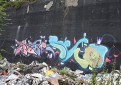 Photo #37593 by TheWallHunter