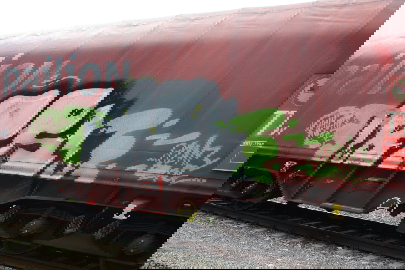 Graffiti Train in Gera - Photo by geracity - Fs (2011)