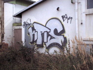 Graffiti Bombing in Gera - Photo by geracity - Krs
