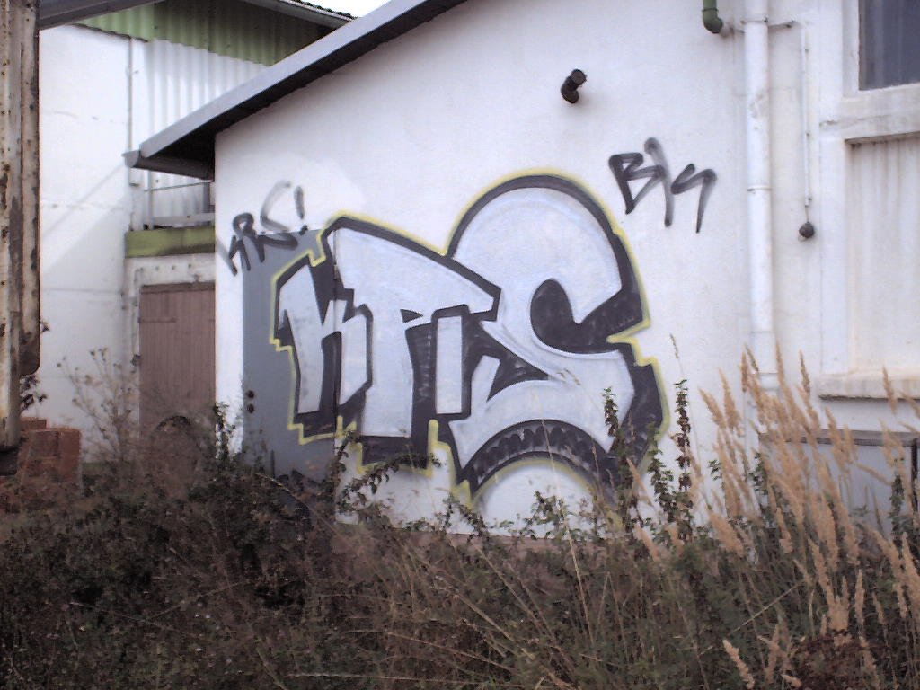 Graffiti Bombing in Gera - Photo by geracity - Krs