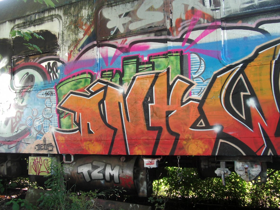 Graffiti Train in Jena - Photo by geracity - dnk (2008)