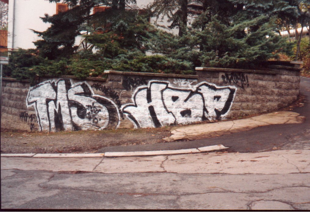 Graffiti Bombing in Gera - Photo by geracity - Tms, Hbp