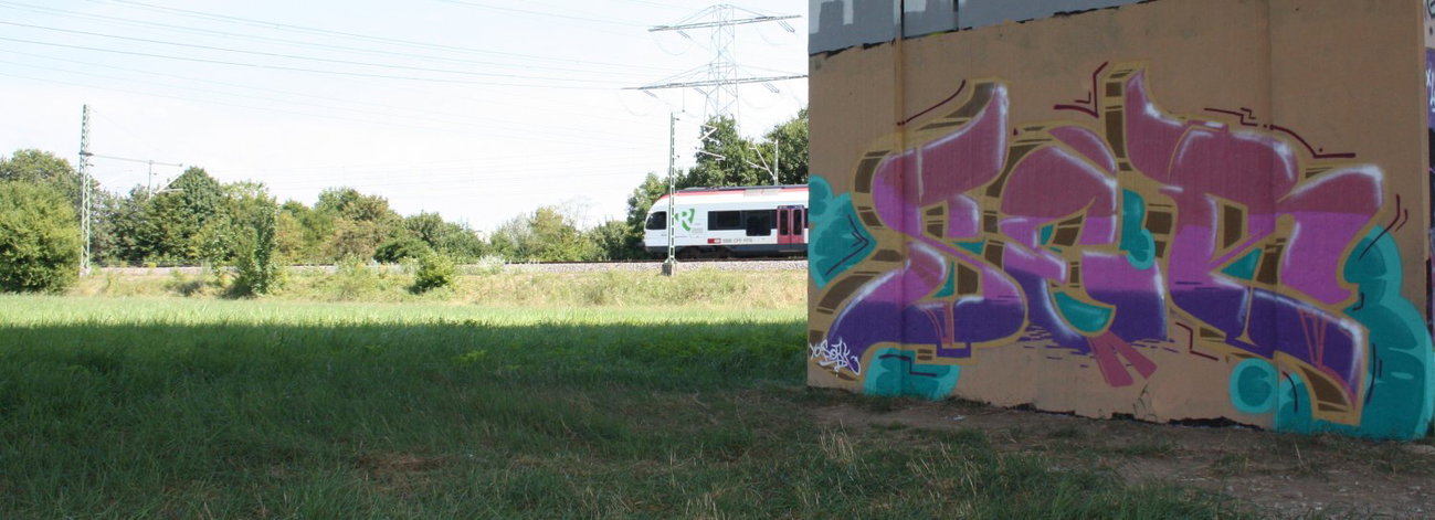 Graffiti Wall in Lörrach - Photo by geracity - Ser, S&S (2013)