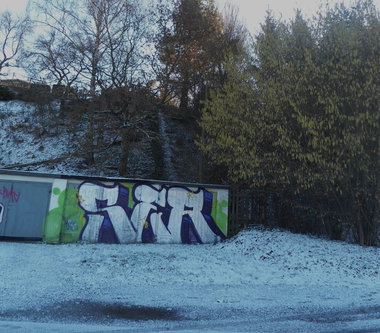 Graffiti Bombing in Gera - Photo by geracity - Ser, S&S (2013)