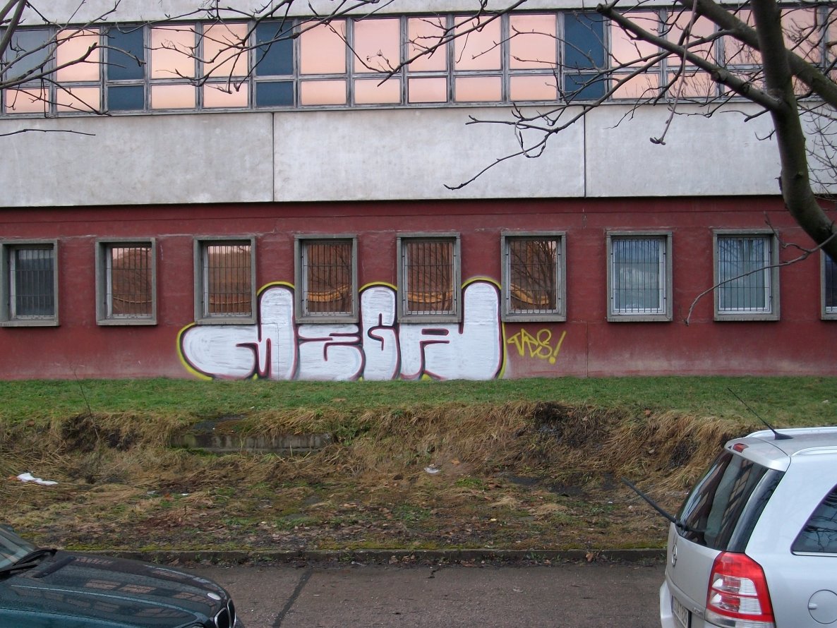 Graffiti Bombing in Gera - Photo by geracity - mega (2010)