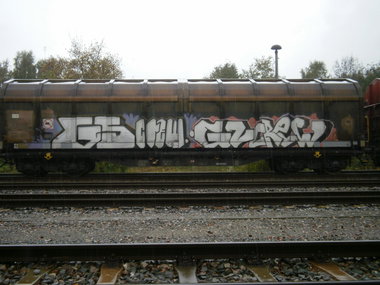 Graffiti Train in Gera - Photo by geracity - Gs, crew