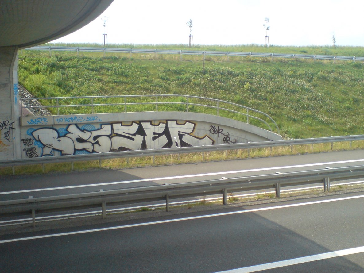 Graffiti Bombing in Gera - Photo by geracity - Bes, Ser (2008)