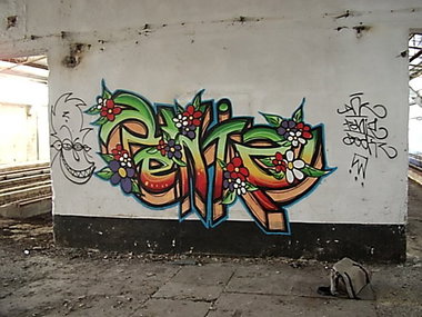Graffiti Bombing in Gera - Photo by geracity - Peniz