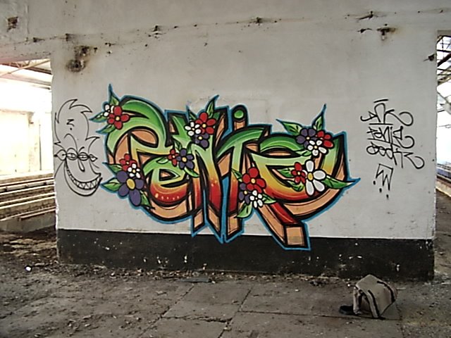 Graffiti Bombing in Gera - Photo by geracity - Peniz