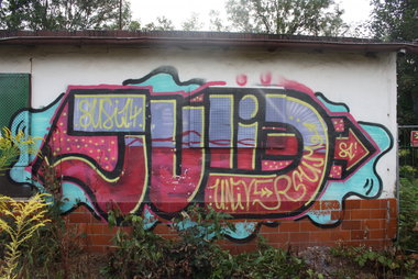 Graffiti Bombing in Gera - Photo by geracity