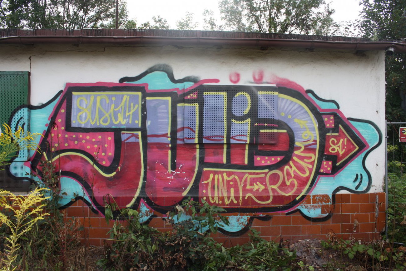 Graffiti Bombing in Gera - Photo by geracity