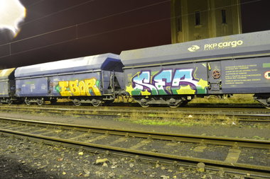 Graffiti Train - Photo by geracity - Ebor, Ser (2014)