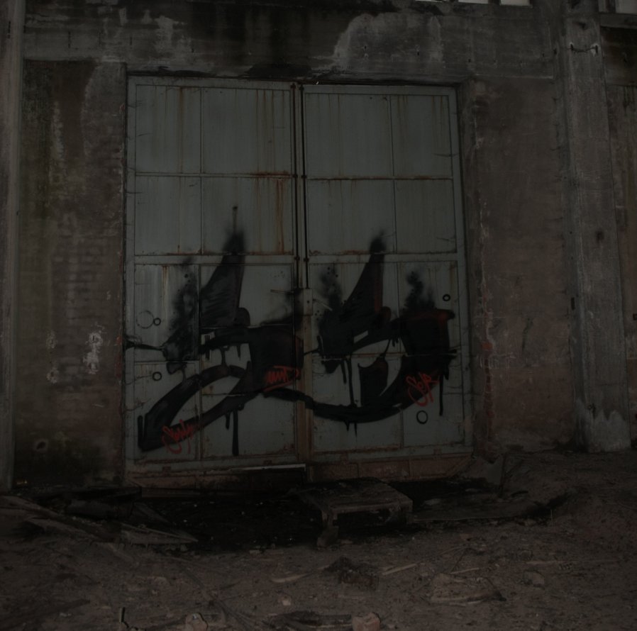 Graffiti Bombing in Gera - Photo by geracity - S&S (2013)