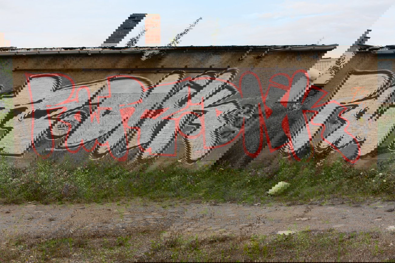 Graffiti Bombing in Gera - Photo by geracity - Rwrz, Dnk (2011)