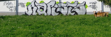 Graffiti Bombing in Gera - Photo by geracity - Rapists (2010)