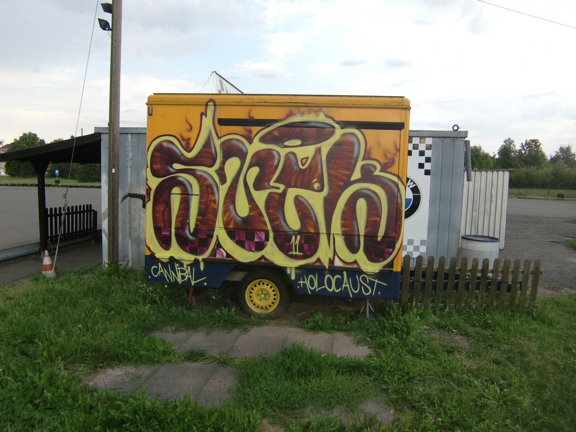 Graffiti Bombing in Gera - Photo by geracity - smek (2011)
