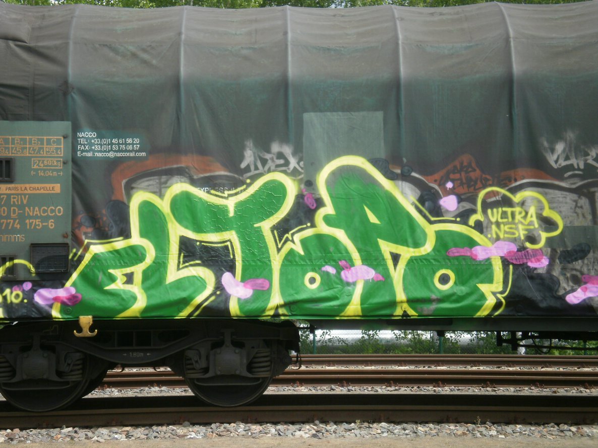 Graffiti Train in Gera - Photo by geracity - el, topo (2010)