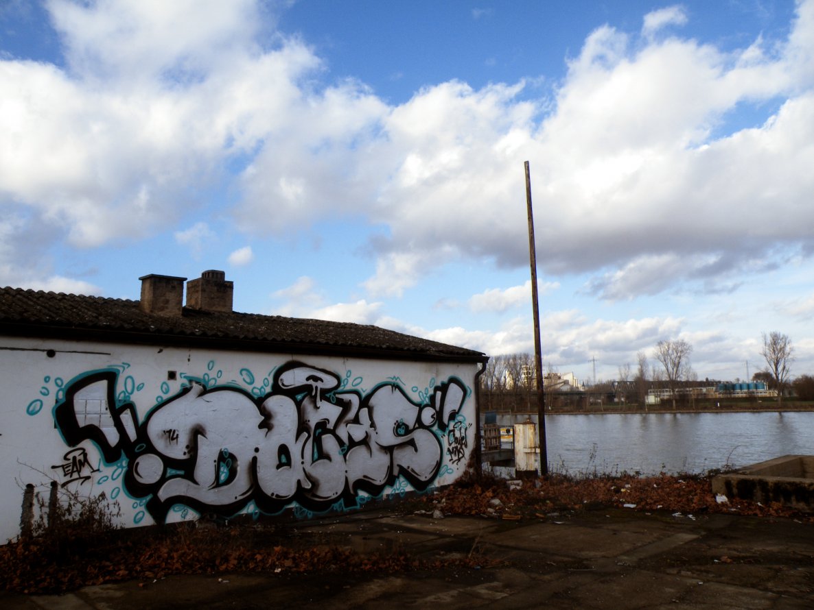 Graffiti Bombing in Mainz - Photo by geracity - Dachs, Team