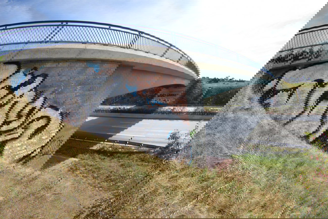 Graffiti Bombing in Gera - Photo by geracity - Team