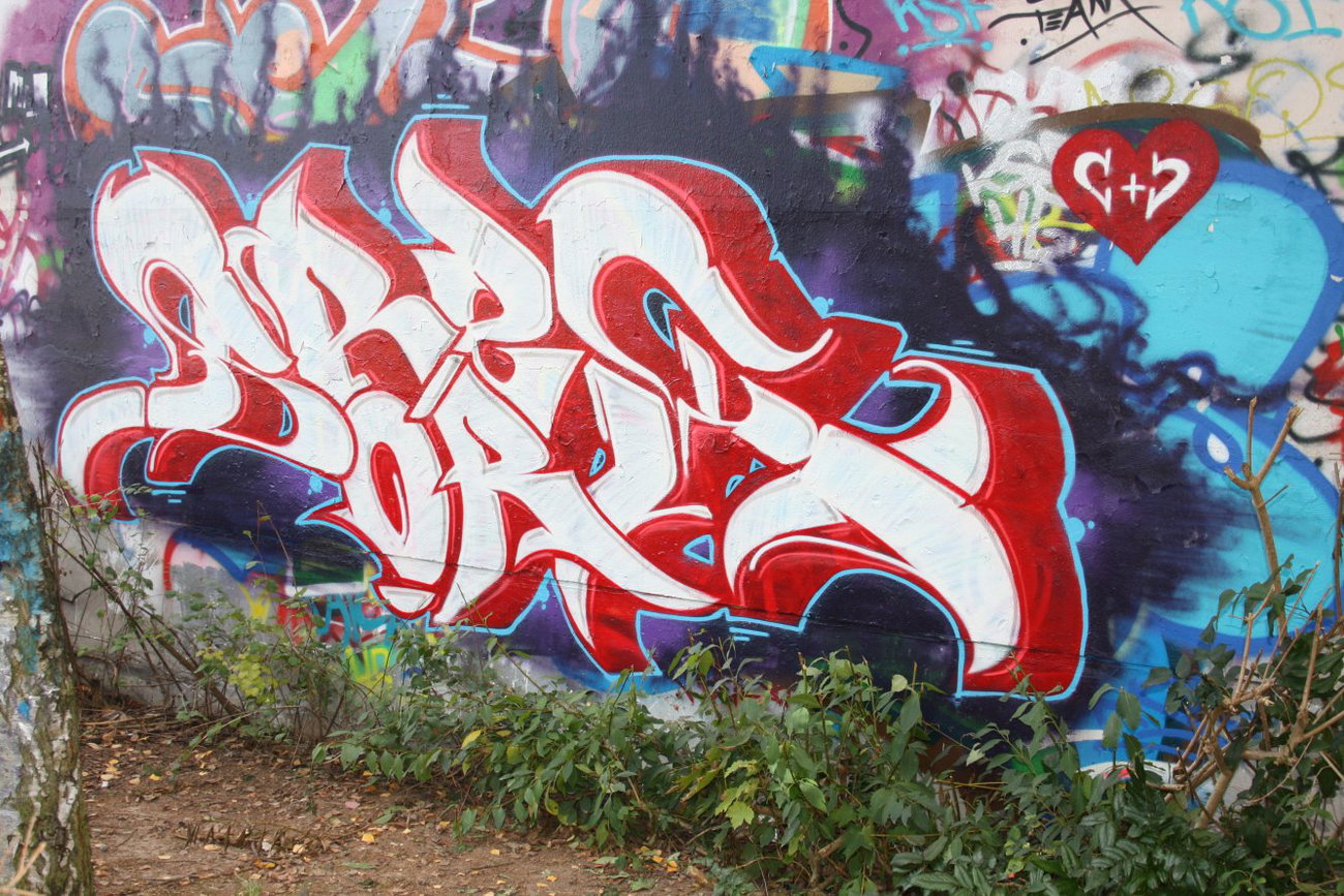 Graffiti Wall in Gera - Photo by geracity - Sork, Srek (2012)