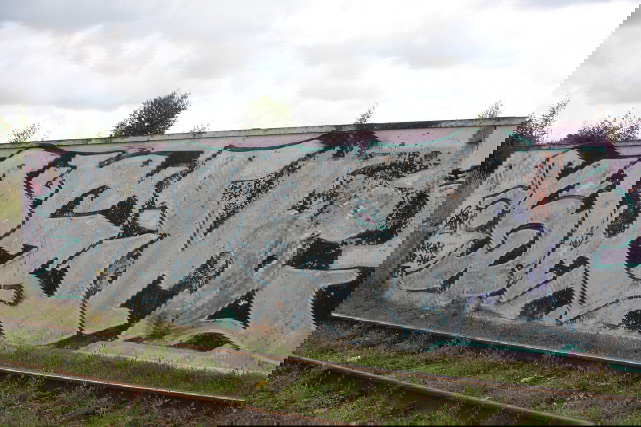 Graffiti Bombing in Gera - Photo by geracity - Srek
