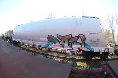 Graffiti Train - Photo by geracity - daw (2011)
