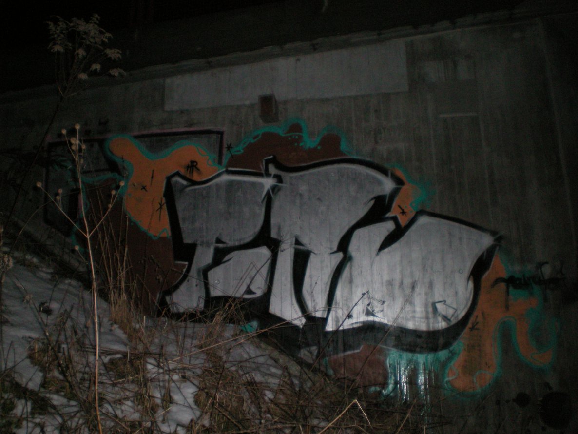 Graffiti Bombing in Gera - Photo by geracity - pord