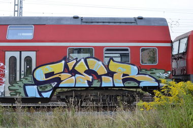 Graffiti Train in Gera - Photo by geracity - ser, sunds (2013)
