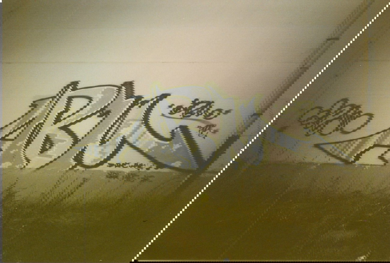 Graffiti Bombing in Gera - Photo by geracity - abm (1996)