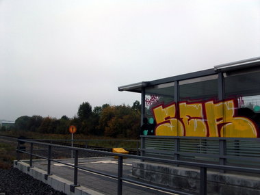 Graffiti Bombing in Gera - Photo by geracity - ser (2010)