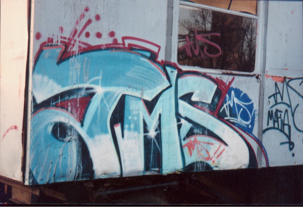 Graffiti Bombing in Gera - Photo by geracity - tms