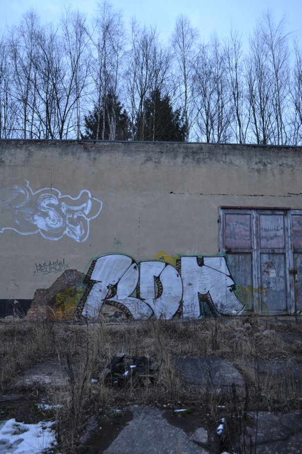 Graffiti Bombing in Gera - Photo by geracity - rdm, Redröm (2014)