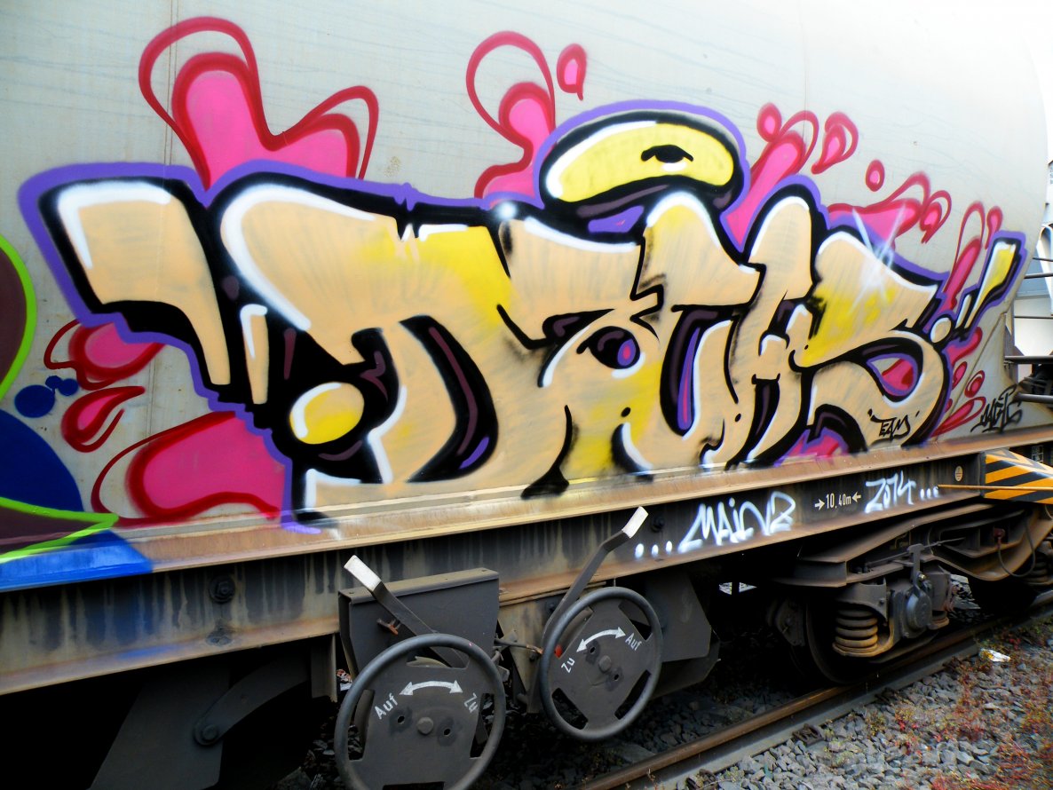 Graffiti Train - Photo by geracity - dachs (2014)