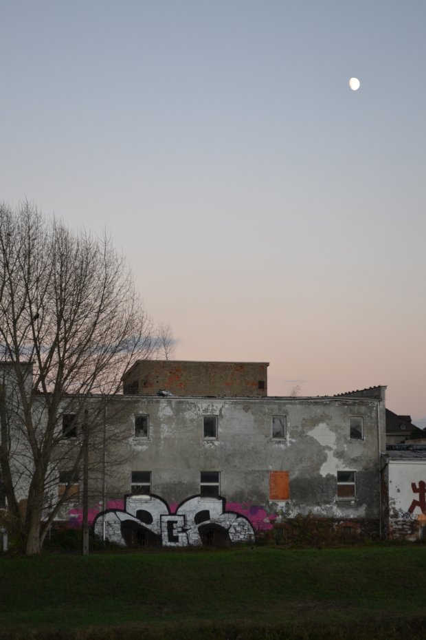 Graffiti Bombing in Gera - Photo by geracity - ser (2013)