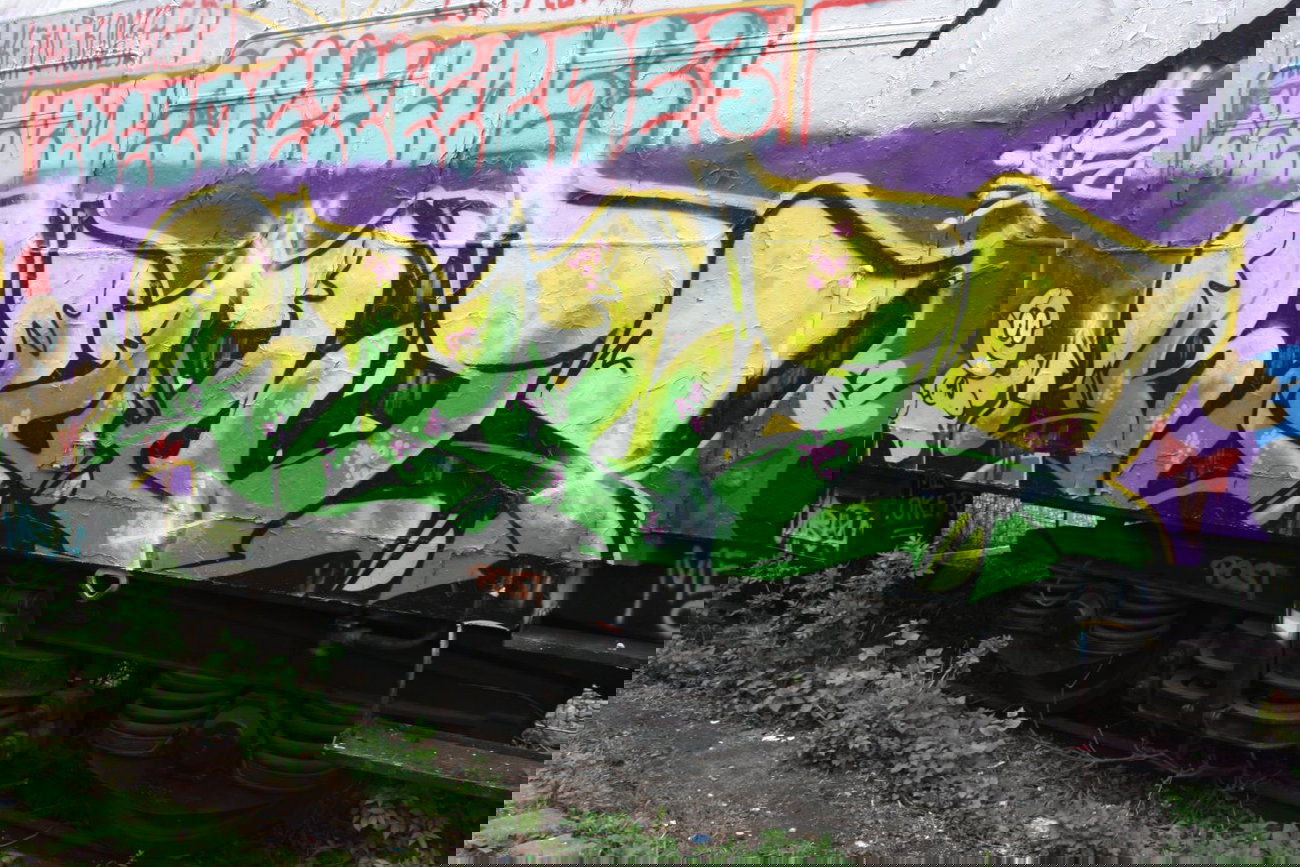 Graffiti Train - Photo by geracity - blunt