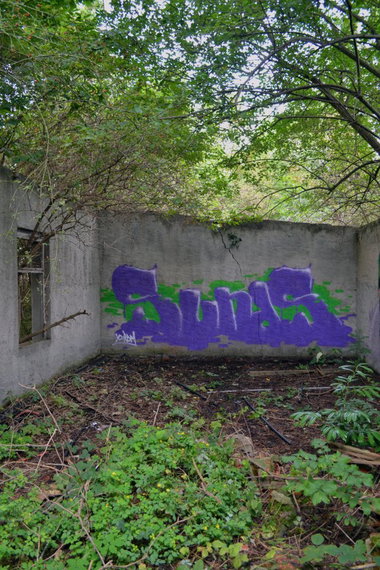 Graffiti Bombing - Photo by geracity - sunds, ser, sork (2014)