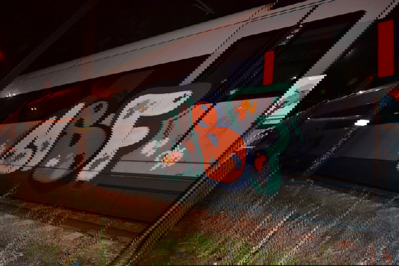 Graffiti Train in Copenhagen - Photo by geracity - nsf (2013)