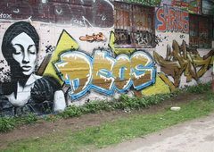 Photo #116484 by fankurve1966