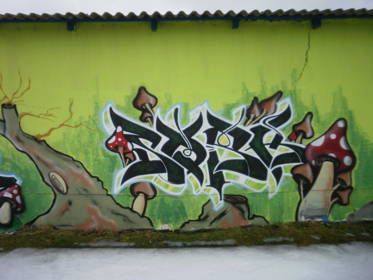 Graffiti Wall in Gera - Photo by geracity - sork, sunds