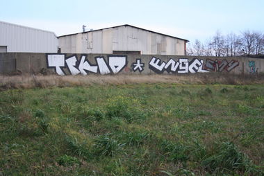 Graffiti Bombing in Gera - Photo by geracity - tekno, engel, cins
