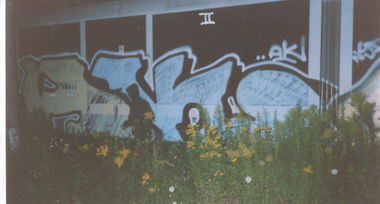 Graffiti Train in Gera - Photo by geracity - Ak