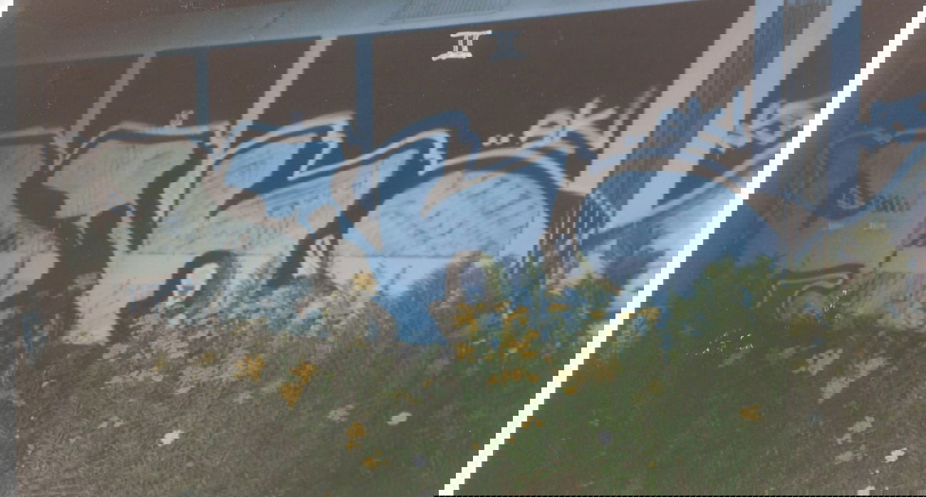 Graffiti Train in Gera - Photo by geracity - Ak