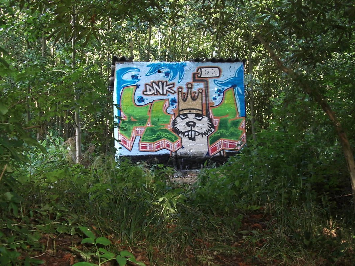 Graffiti Wall - Photo by geracity - deoz